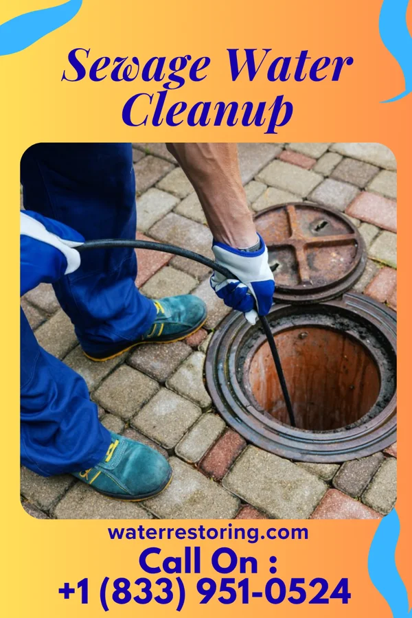 Sewage Water Cleanup in Troy, TN